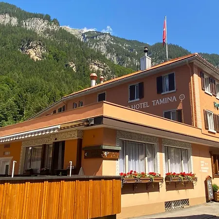 Tamina